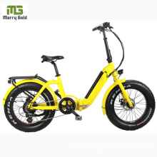 No MOQ Electric Folding Bike for Girls/ 350W Bicycle Electric